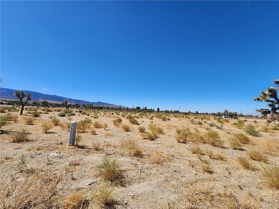 2nd image of 11226 Primavera Rd Lot 116