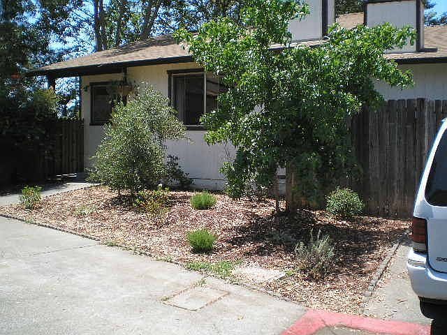 Front yard and house
