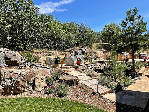 Amazing back yard 