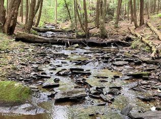 0 Washington Mountain Rd, Becket, MA 01223