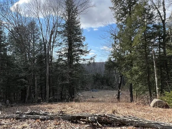 1153 Faulkner Road, Whitingham, VT 05361