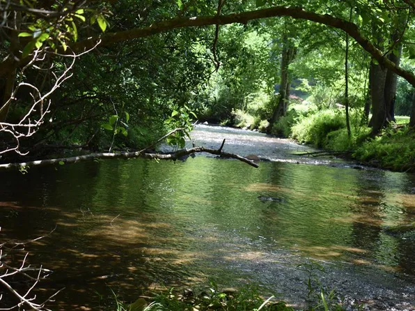 2632 Big Creek Rd, Cherry Log, GA 30522