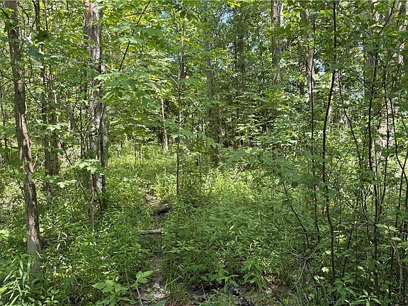 4th image of 3359 Helsey Fusselman Rd