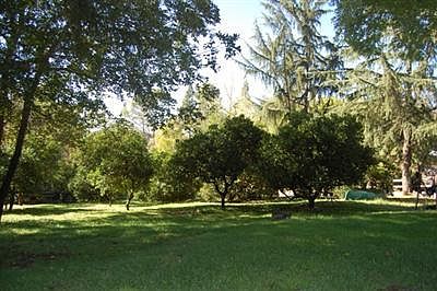 1st image of 151 121 Buena Vista Lot