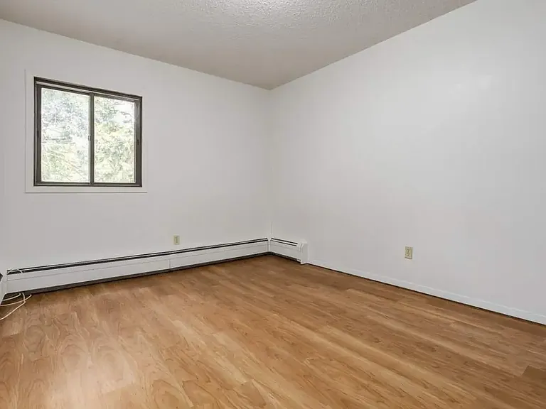 35 Wood Lily Dr — Photo 11