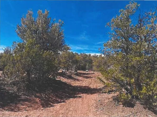 28.962 Acres Off, Pecos, NM 87552