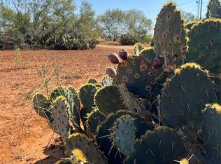 50 County Road 321 TRACT 14, Jourdanton, TX 78026