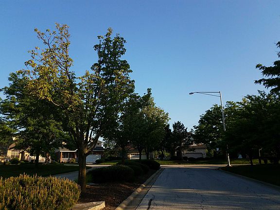 5th image of 11349 Longwood Cir