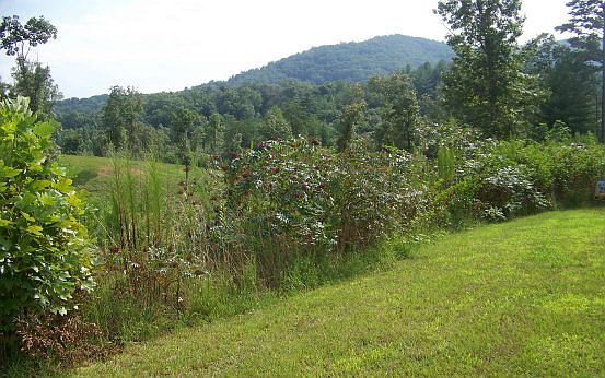 2nd image of Flat Top Trl