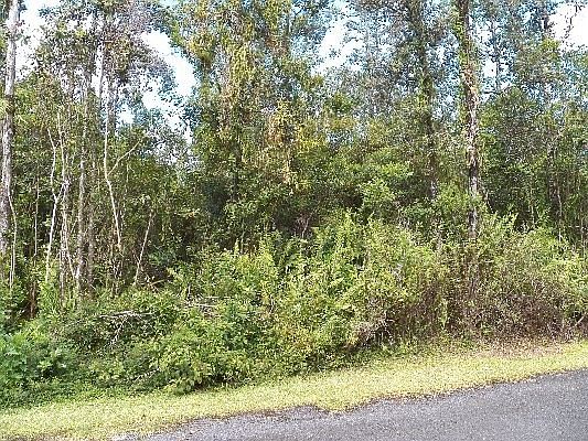 3rd image of 16-2110 Silveroak Dr Lot 54