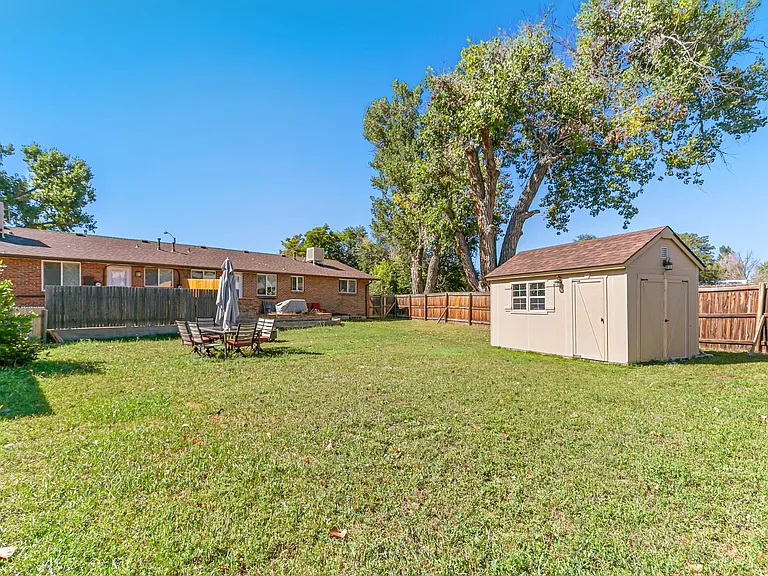 Back Yard 1