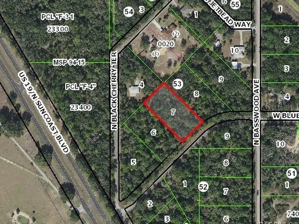 12175 W Bluebell Dr, Crystal River, FL 34428