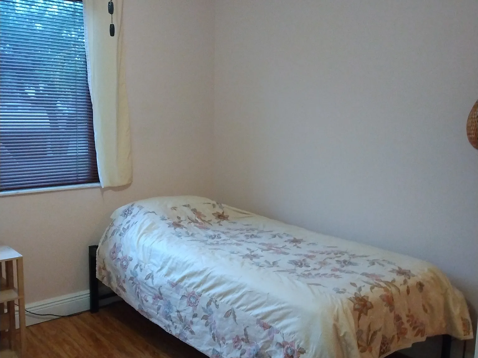 1 bed, $800 — Photo 2