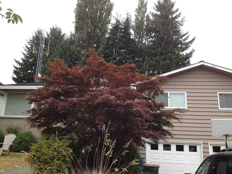 2nd image of 7301 33rd Ave NE