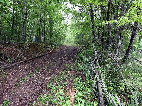 5th image of 239 Double Springs Spur