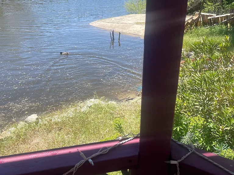 Lake view from deck