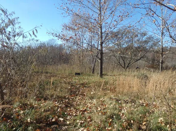 Tbd Ithaca Lane, Neosho, MO 64850