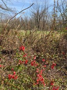 934 N Moon Road, Scottsburg, IN, 47170