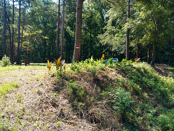 4th image of 1335 Highway 261 S #Land