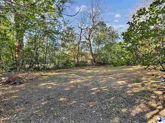 5th image of 7520 Pell St