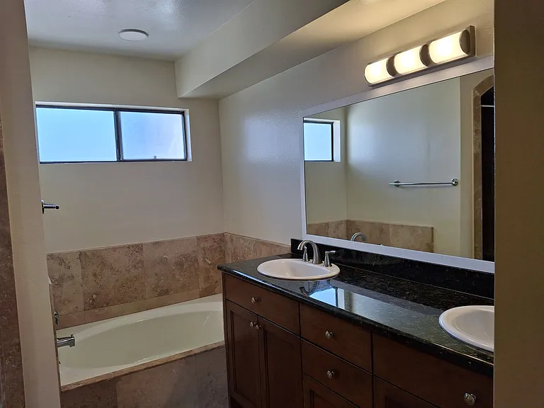 Master bath, shower and tub.