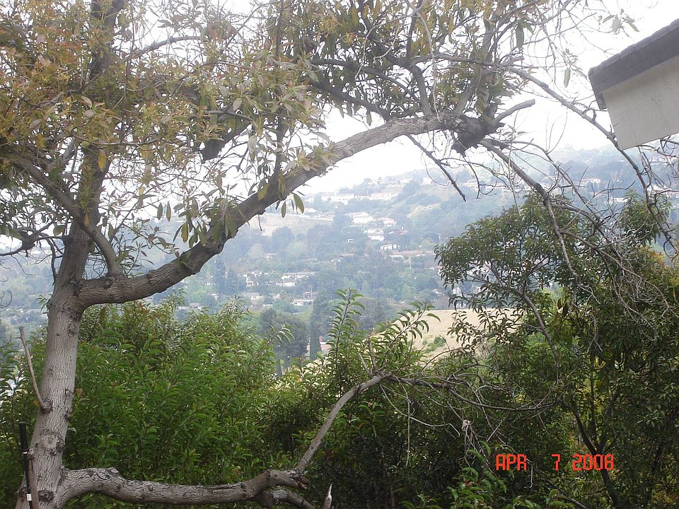 view from rear deck