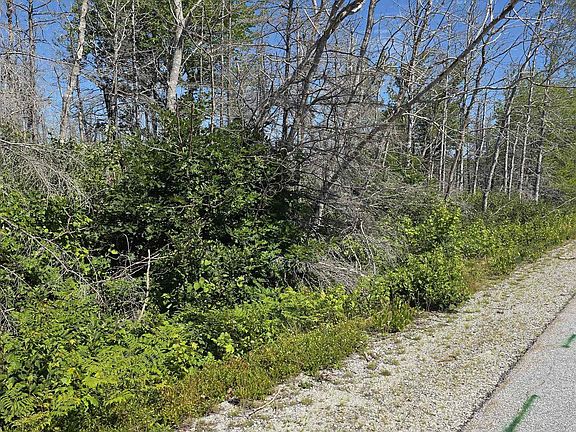 3rd image of Shore Rd