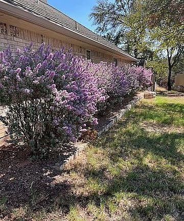 3rd image of 1504 Lakecrest Cir