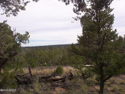 1794 Canyon Dr, Heber, AZ, 85928