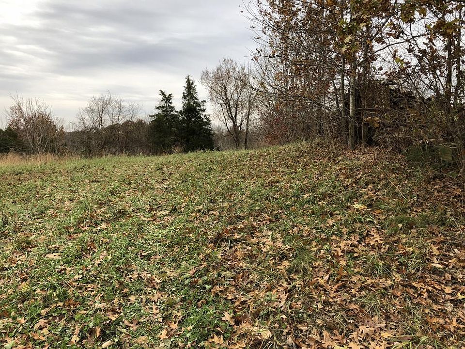 3 ac. Lush Home-site Near Lexington  Level area, north boundary