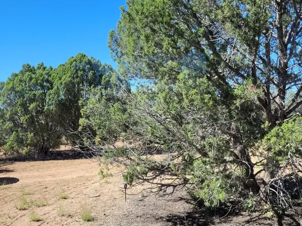393B Juniperwood Rnch, Ash Fork, AZ 86320