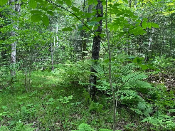 On Cth Ff #1.5 Acres, Mercer, WI 54547