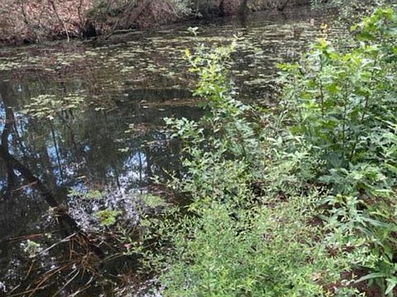 4th image of Robertsdale Rd