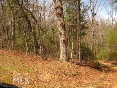 0 E Wolfcreek Rd, Wiley, GA, 30581