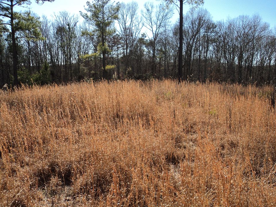 2nd image of TRACT 10 County Road 118