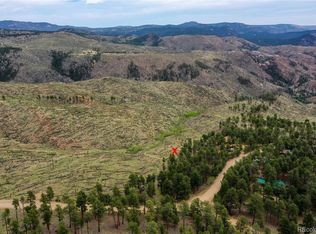 54 Holmes Gulch Rd, Bailey, CO 80421