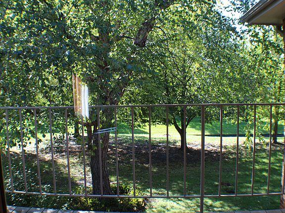 Back Deck view of commons