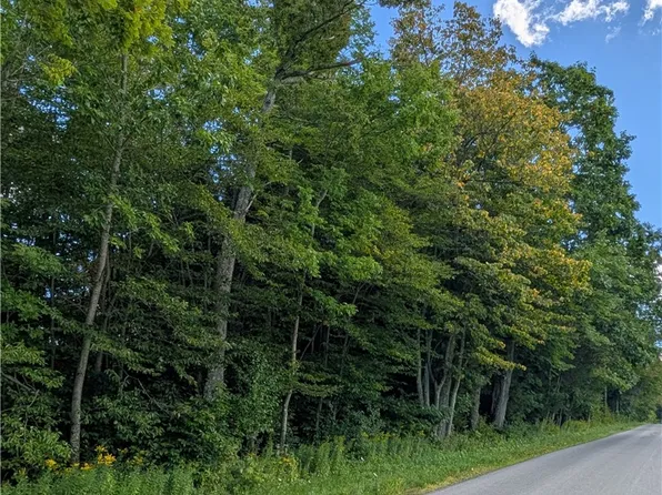 Jennison Rd Lot 8, New Berlin, NY 13411