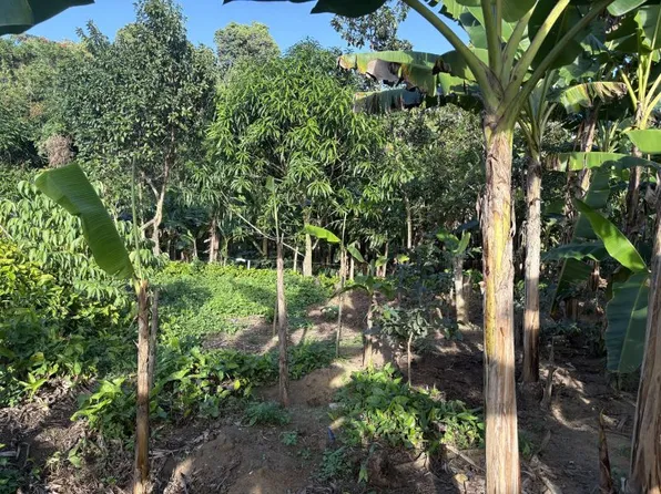 Bo Camuy Arriba Km 3.9 Carr #483, Camuy, PR 00627