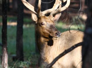 12899 Stockmens, Flagstaff, AZ 86004