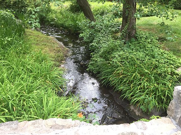 Streamlined with WildFlowers