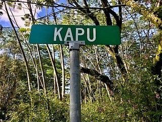 3rd image of Kapu Ln Lot 182
