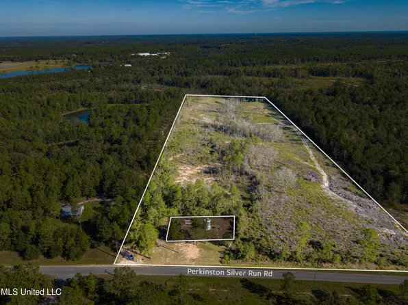 Perkinston Silver Run Rd, Perkinston, MS 39573