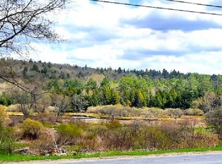 1 Brussell St, Wells, NY 12190