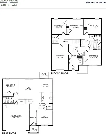 HAYDEN 5/3 Floor Plan HAYDEN 5/3 Floor Plan