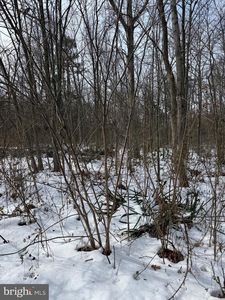 LOT 15 Piney Ln, Remington, VA, 22734
