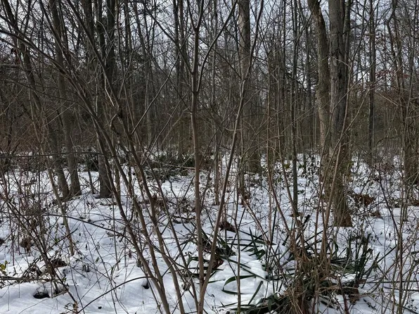 LOT 15 Piney Ln, Remington, VA 22734