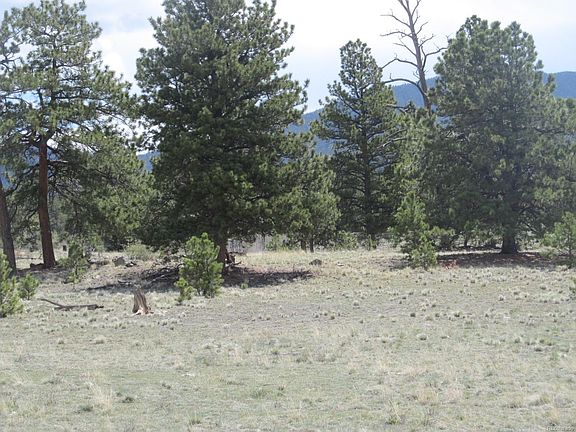 5th image of 1152 Grand Teton Dr