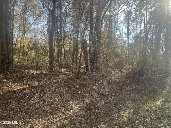 0 Ac Ct, Jeffersonville, GA 31044
