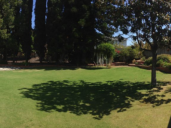 Back yard panorama